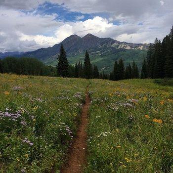 San Moritz Condominiums Mount Crested Butte Екстер'єр фото